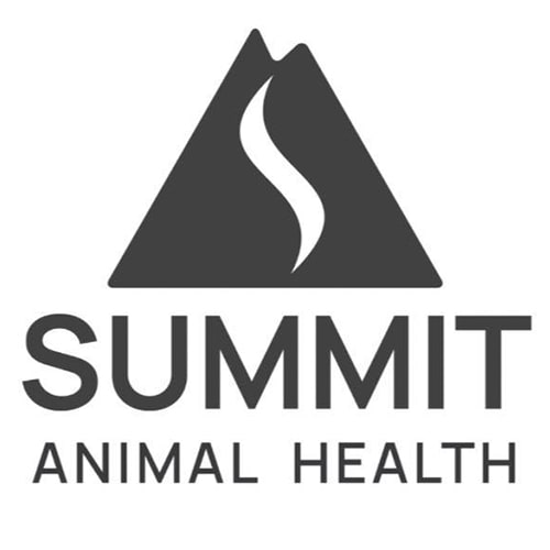 summit-2022-min